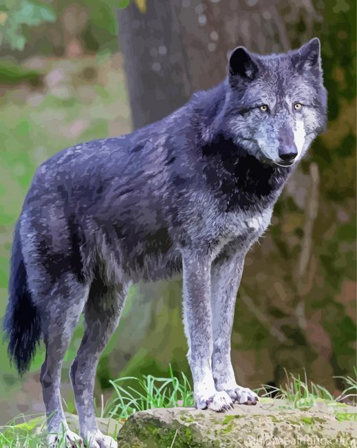 Wolf Northwestern Animal Paint By Numbers.jpg