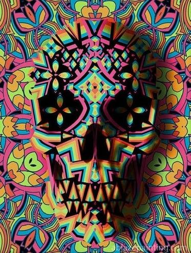 Skull Geo Two Abstract Paint By Numbers.jpg