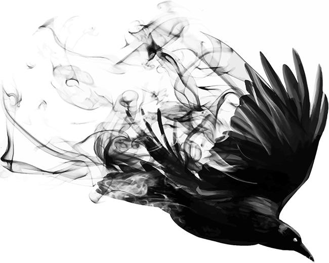 Bird Smoke New Paint By Numbers.jpg