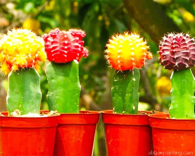 Colorful Cactus New Paint By Numbers.jpg