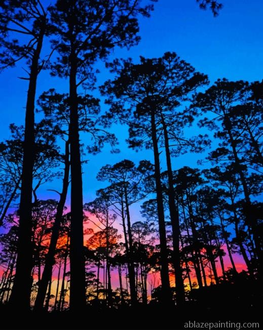 Sunset Forest Landscapes Paint By Numbers.jpg