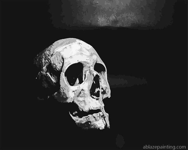 Black And White Skull New Paint By Numbers.jpg