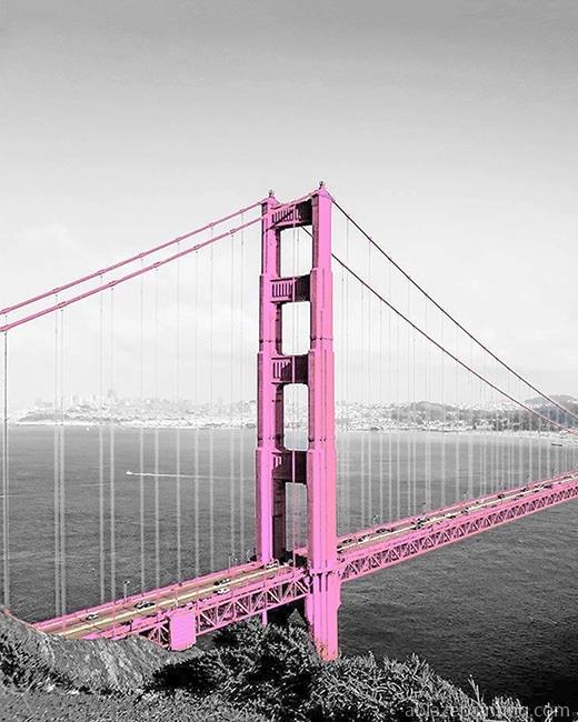 Pink Golden Gate Bridge New Paint By Numbers.jpg