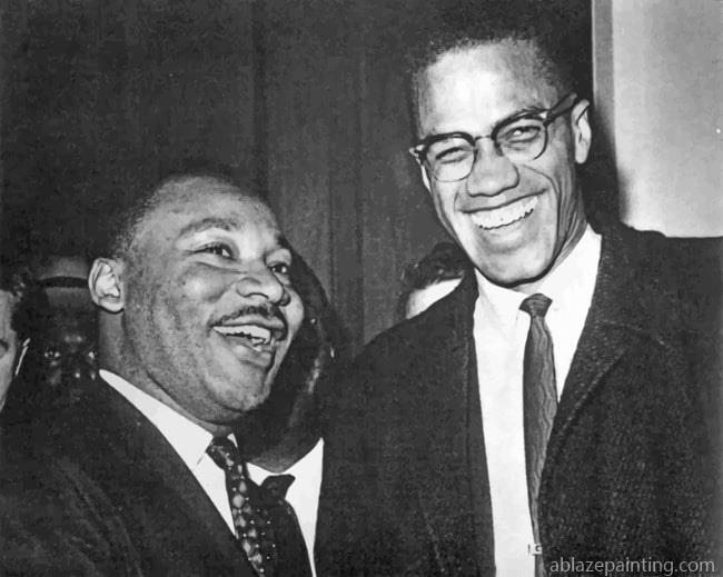 Martin Luther King And Malcolm X Famous Paint By Numbers.jpg