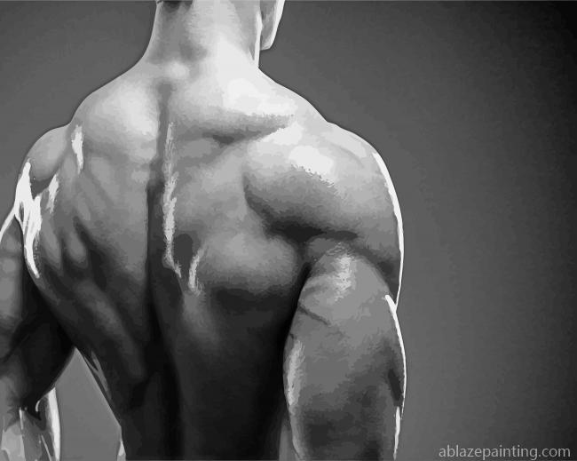 Aesthetic Back Muscles Paint By Numbers.jpg