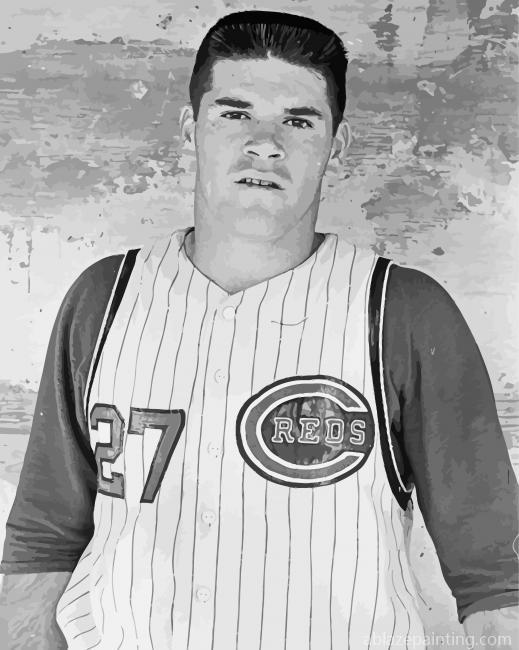 Young Pete Rose Paint By Numbers.jpg