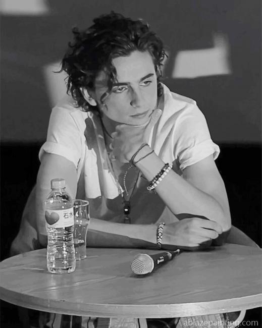 Black And White Timothée Chalamet New Paint By Numbers.jpg