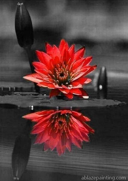 Red Black Flower On Water Flowers Paint By Numbers.jpg
