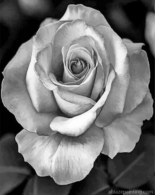 Realistic Roses Black And White Paint By Numbers.jpg