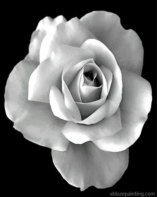 Black And White Rose Paint By Numbers.jpg
