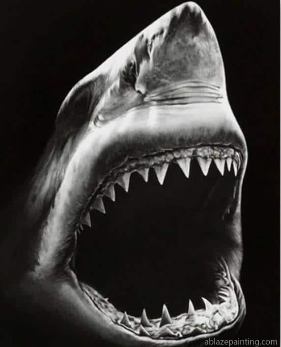 Monochrome Shark Paint By Numbers.jpg