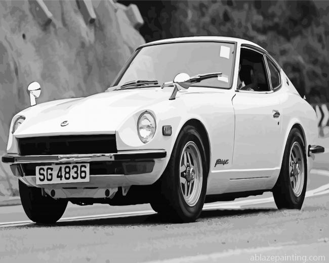 Black And White Datsun Fairlady Paint By Numbers.jpg