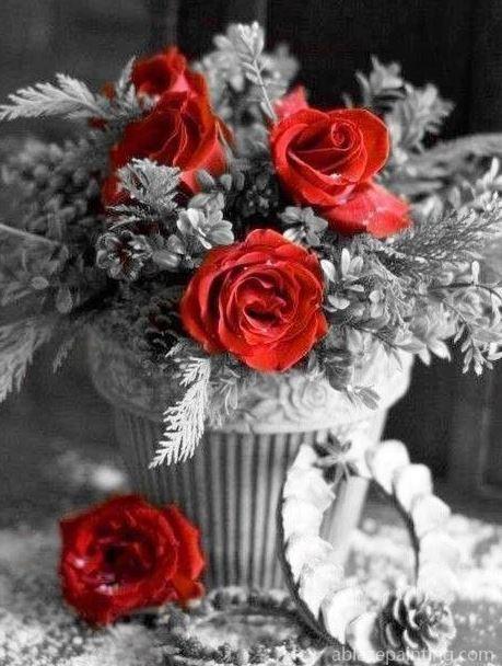 Vase Of Red Flower On Black Flowers Paint By Numbers.jpg