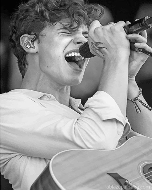 Shawn Mendes Singing Black And White New Paint By Numbers.jpg