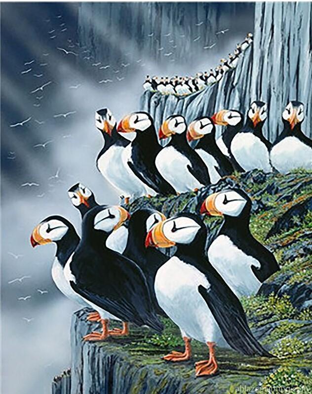 Puffin Birds Paint By Numbers.jpg