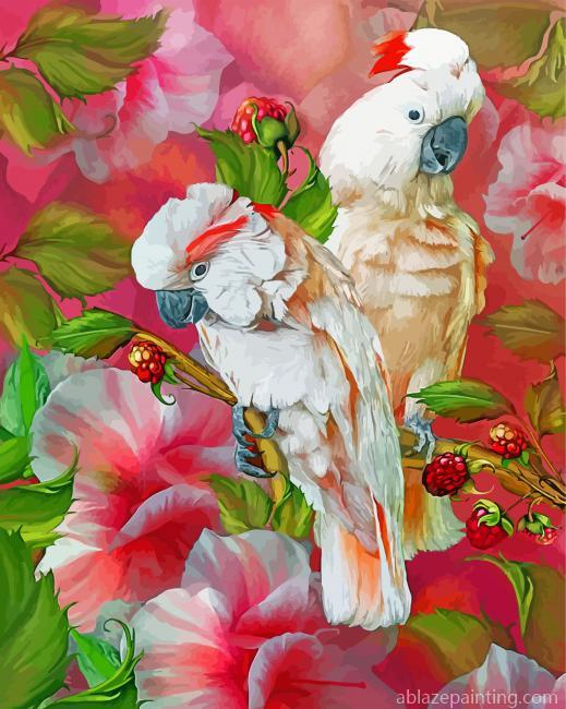 Salmon Crested Cockatoo Birds Paint By Numbers.jpg
