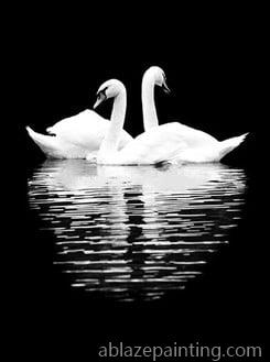 Black White Swan Reflection Birds Paint By Numbers.jpg