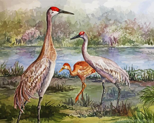 Sandhill Cranes Family Paint By Numbers.jpg