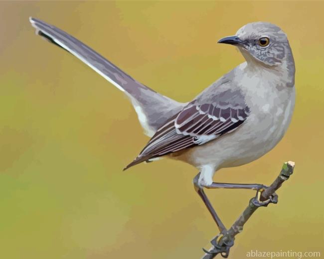 Mockingbird Bird Paint By Numbers.jpg