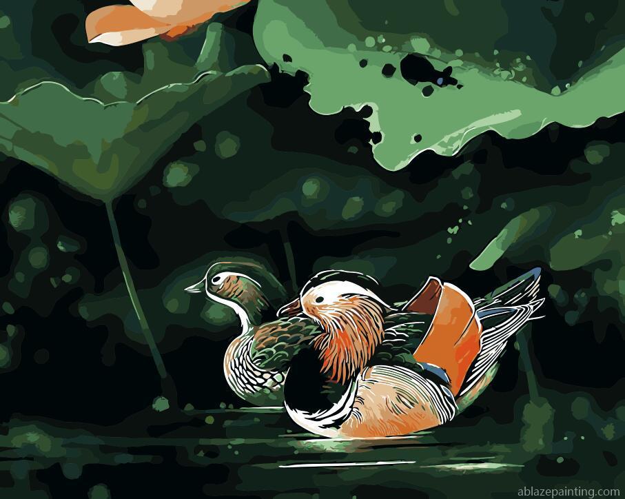 Swimming Mandarin Duck Birds Paint By Numbers.jpg