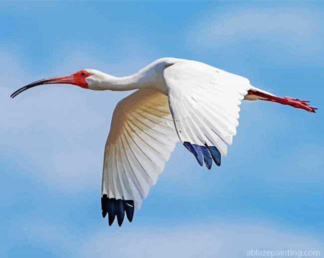 Flying White Ibis Bird Paint By Numbers.jpg