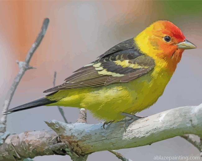 Little Western Tanager Bird Paint By Numbers.jpg