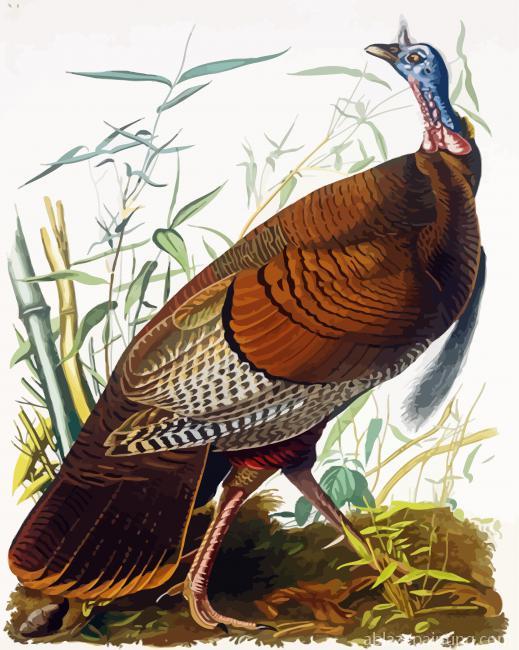 The Wild Turkey Audubon Paint By Numbers.jpg