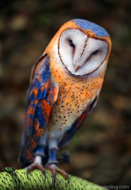 Insomniac Owl Birds Paint By Numbers.jpg