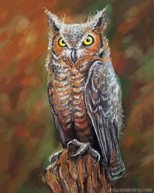 Long Eared Owl Paint By Numbers.jpg