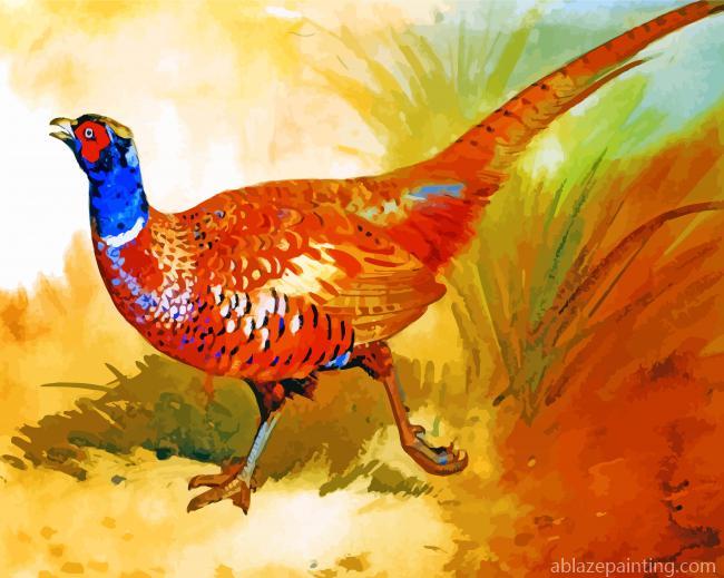 Cock Pheasant Paint By Numbers.jpg