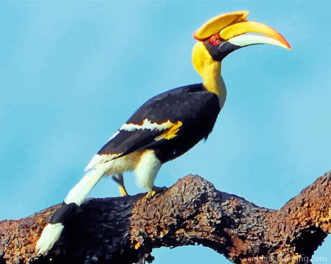 Great Pied Hornbill Paint By Numbers.jpg