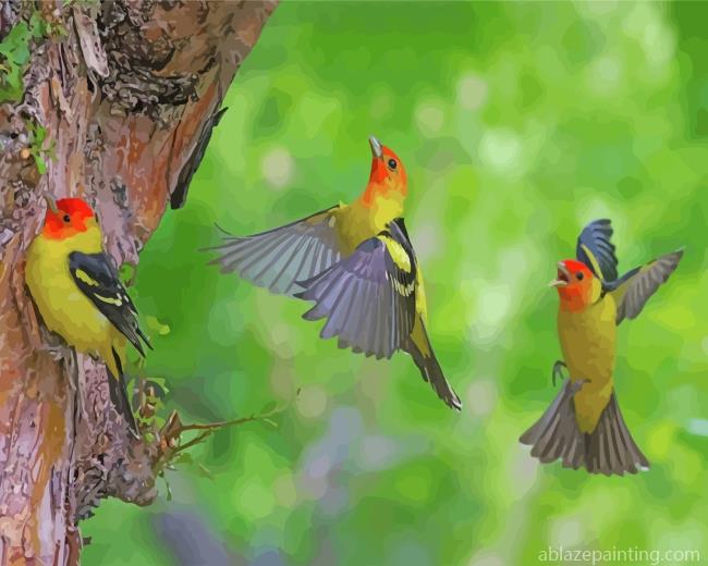 Flying Western Tanager Birds Paint By Numbers.jpg
