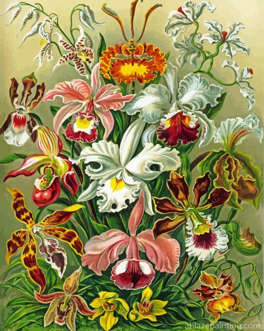 Orchidae Ernst Haeckel Paint By Numbers.jpg