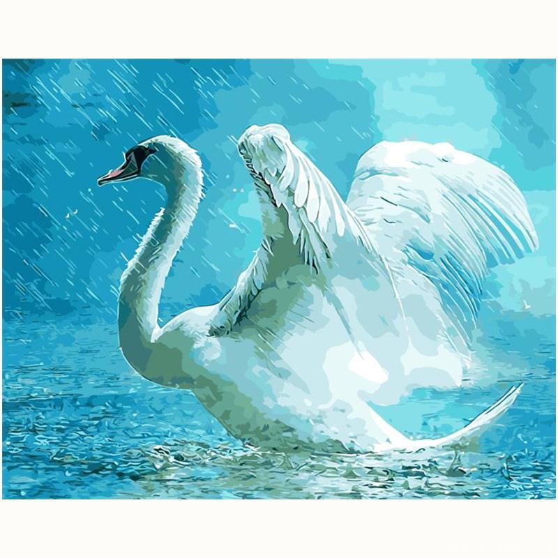 Swan In Rain Birds Paint By Numbers.jpg