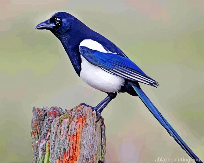 Australian Magpie Paint By Numbers.jpg