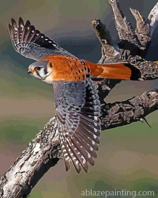 American Kesrel Desert Bird Paint By Numbers.jpg