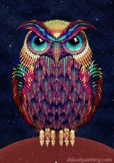 Hipster Owl Birds Paint By Numbers.jpg
