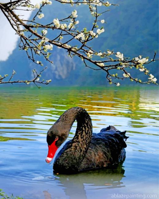 Black Swan Bird Paint By Numbers.jpg