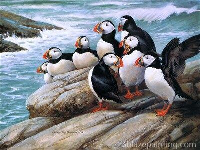 Puffins On Rock Paint By Numbers.jpg