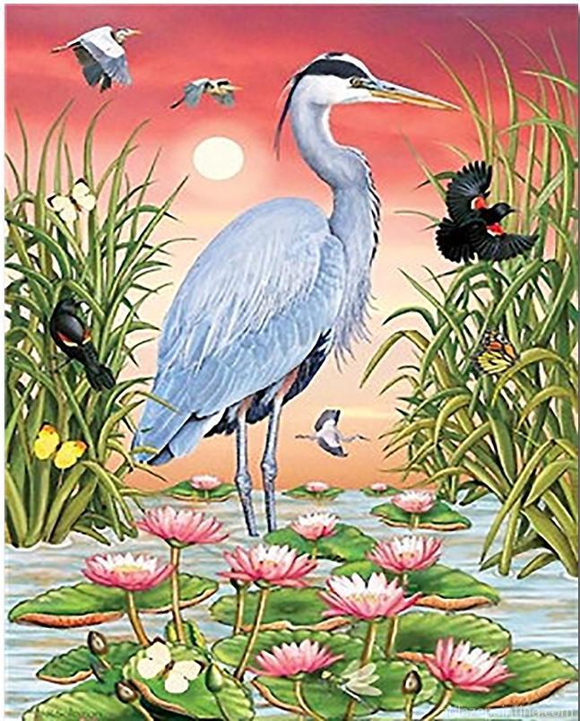 Great Blue Heron Paint By Numbers.jpg