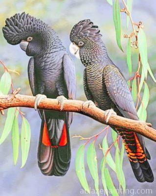 Red Tailed Black Cockatoo Paint By Numbers.jpg