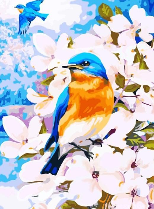 Eastern Bluebirds Paint By Numbers.jpg