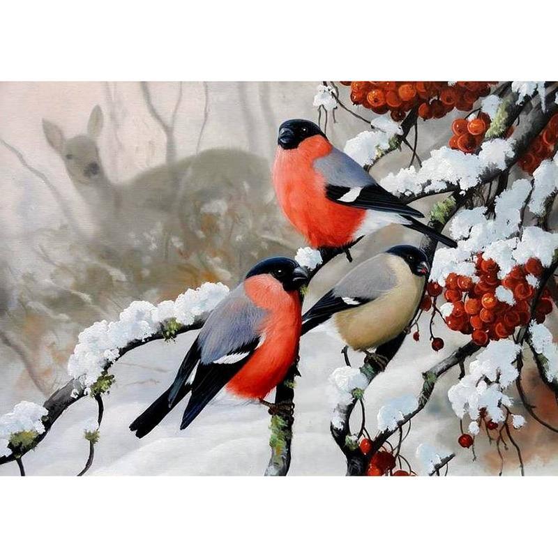 Winter Birds Birds Paint By Numbers.jpg
