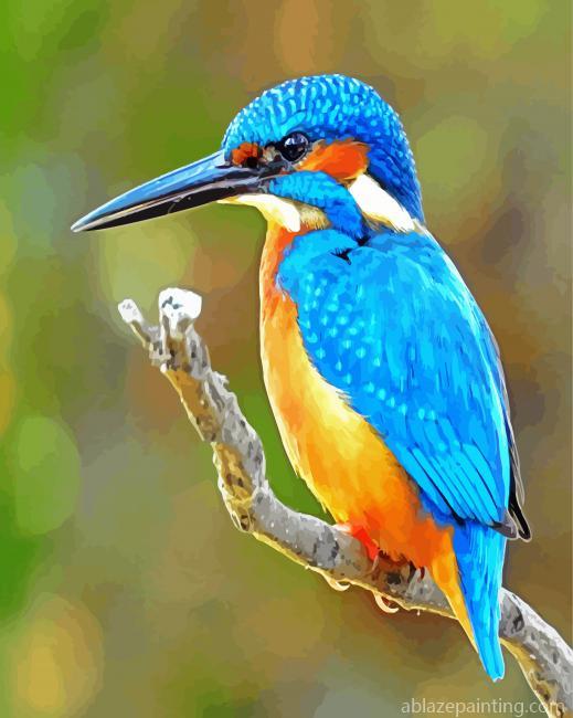 Bird Kingfisher Paint By Numbers.jpg