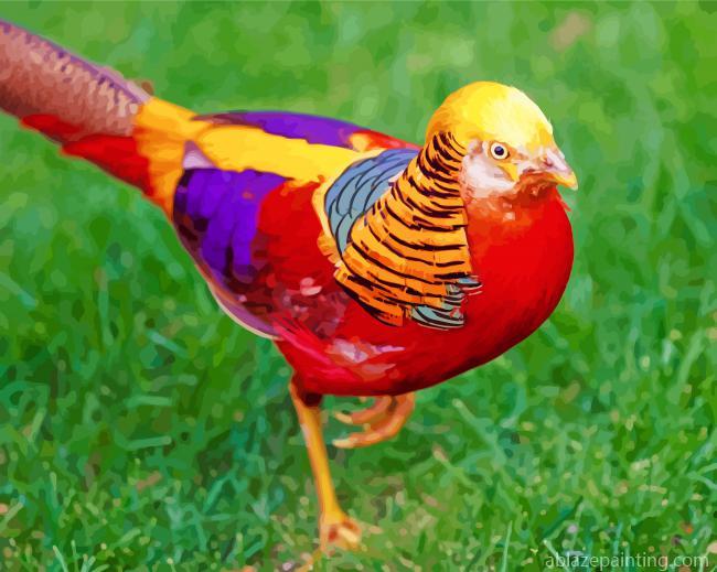 Golden Pheasant Paint By Numbers.jpg