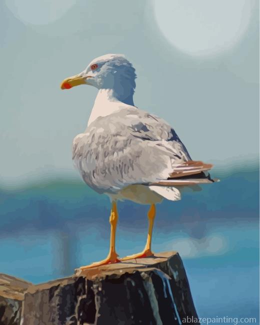 White Seagull Bird Paint By Numbers.jpg