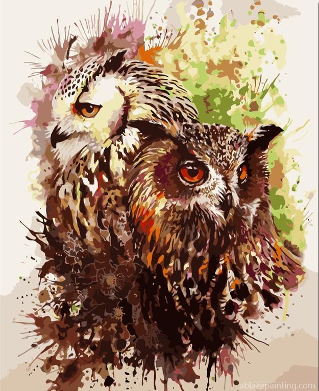 Splatter Owls Paint By Numbers.jpg