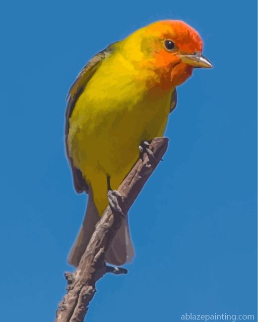Western Tanager Bird On Stick Paint By Numbers.jpg