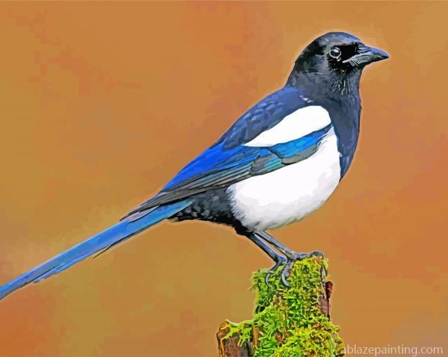 Magpie Paint By Numbers.jpg