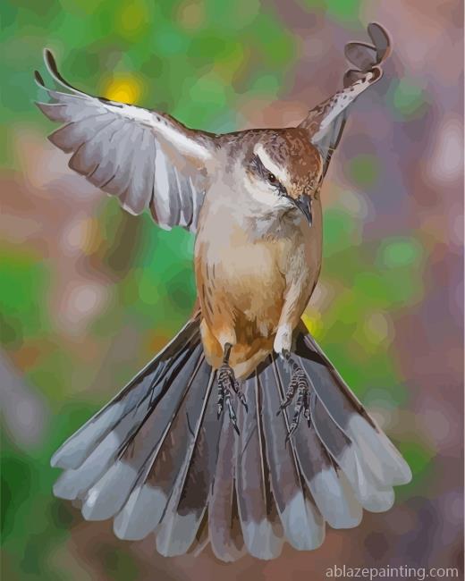 Flying Northern Mockingbird Paint By Numbers.jpg